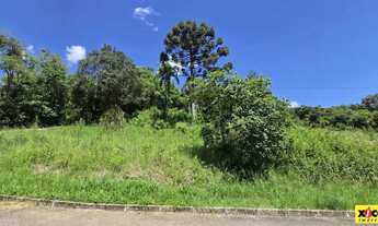 Imagem 3: Terreno para Venda em Picada Café, Centro