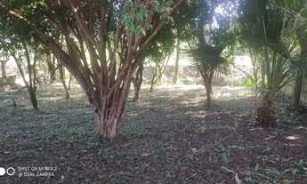 Imagem 7: Prédio Comercial com um apartamento na parte superior e 02 salas comerciais na parte de ba