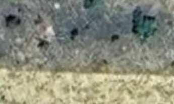 Imagem 3: ? LOTE RURAL COM 5.300 m² - PRONTO PARA USO IMEDIATO ?