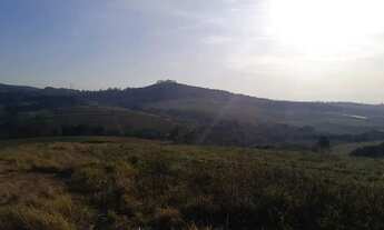 Imagem 5: Lotes em Caucaia do Alto! Ache seu terreno com um clique