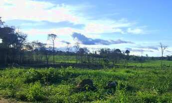 Imagem: Fazenda com 280 hectares em Rorainópolis/RR