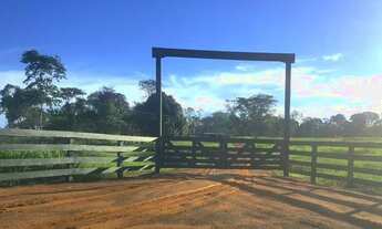 Imagem 7: Fazenda com 280 hectares em Rorainópolis/RR, ler descrição do anuncio