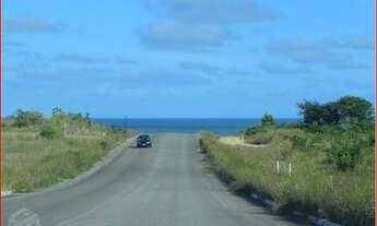 Imagem 2: Bela Propriedade em Praia Bela - Paraíba - com 10 ha