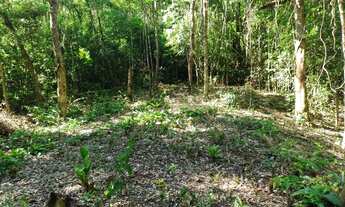 Imagem 5: Super oportunidade terreno com lago