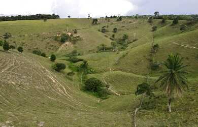 Imagem 4: Fazenda com 164 Hectares em Pernambuco