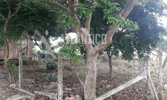 Imagem 5: EXCELENTE TERRENO RESIDENCIAL LOCALIZADO NO BAIRRO GRAVATA,O LOTE MEDE 450,90 METROS QUADR