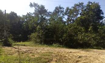 Imagem: Terreno 10.000m2 em Nova Iguaçu Tíngua