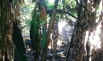 Imagem 4: Chácara para venda em caldas setor mansões pego 50% de permuta