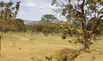 Imagem 2: Chácara 2 HECTARES