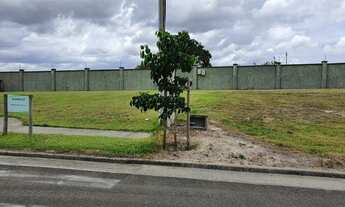 Imagem 3: Terras Alphaville VMar209