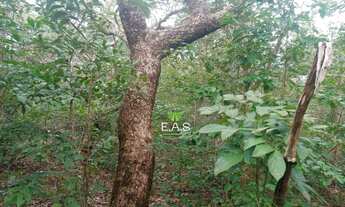 Imagem 7: Fazenda em Cristalandia. 40 mil por alqueire