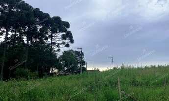 Imagem 6: Excelente Chácara Sem Benfeitorias