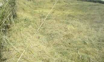 Imagem 4: Terreno Barra Mansa