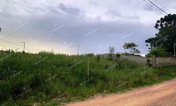 Imagem 3: Excelente Chácara Sem Benfeitorias