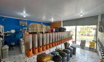 Imagem 3: BELO HORIZONTE - Loja/Salão - Floramar