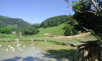 Imagem 6: Leia o Anúncio- imagem ilustrativa