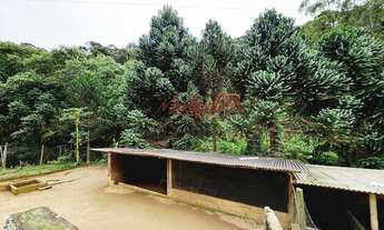 Imagem 7: Fazenda/Sítio/Chácara para venda, Distrito Vitor Hugo, São Bento de urania Oportunidade