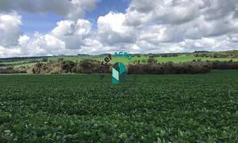 Imagem 6: Fazenda em Jataí