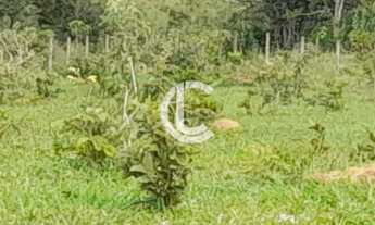 Imagem 3: CHÁCARA A VENDA