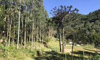 Imagem 3: Área em Rio Branco do Sul