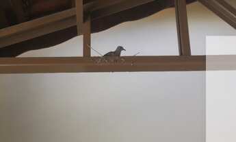 Imagem 7: Espetacular dentro condominio Aquarius