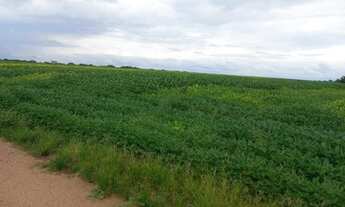 Imagem 6: FAZENDA À VENDA EM PARANATINGA - MT - 8.000 HECTARES (DUPLA APTIDÃO