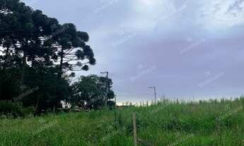 Imagem 4: Excelente Chácara Sem Benfeitorias