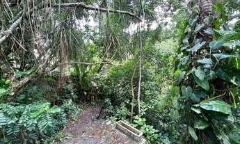 Imagem 4: Apartamento para venda possui 690 metros quadrados com 5 quartos