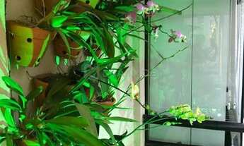 Imagem 7: SãO PAULO - Apartamento Padrão - Moema