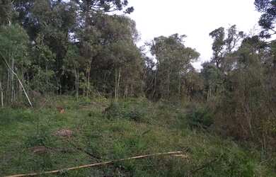 Imagem 4: Terreno tem 15000 metros quadrados - Área Comercial -Perto do trevo - Rio Negrinho - SC