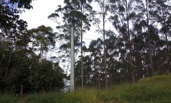 Imagem 6: Terreno 40 mil metros com lago e luz