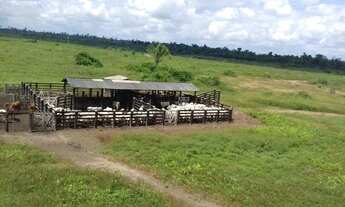 Imagem 2: Fazenda no Pará