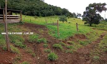 Imagem 2: Área Rural para Venda em Tamarana, Zona Rural