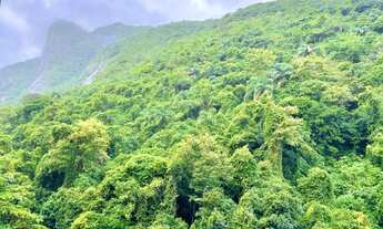 Imagem 3: Amplo 2 quartos próximo praia e metrô