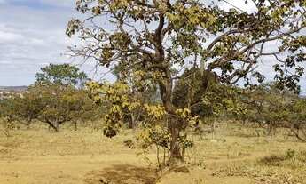 Imagem: Chácara 2 HECTARES