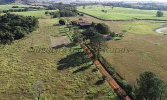 Imagem 3: Sítio com 26,5 alqueires, Itapetininga (Nogueira Imóveis Rurais