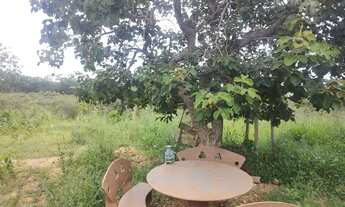 Imagem 6: Sítio com casa e piscina 20.000 m² oportunidade