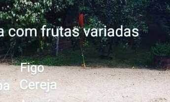 Imagem 3: Lindo Sitio em Governador Celso Ramos com cachoeira