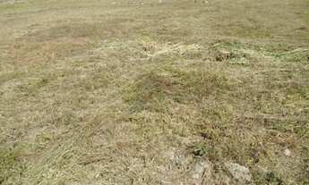 Imagem 2: Terreno em Santa cruz 20 mil doc ok