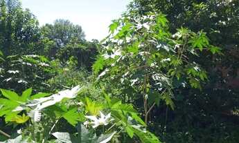 Imagem 5: Casa próximo a Universidade Unig - NI