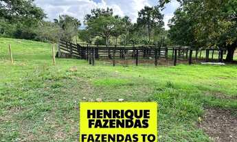 Imagem 3: Fazenda região central do Estado pecuária