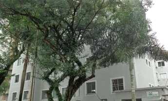 Imagem: Maringá - Apartamento - Jardim Aclimacao