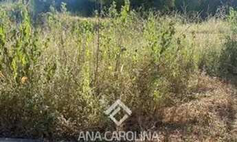 Imagem 3: Lote no Bairro Monte Melo