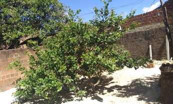 Imagem 5: CASA À VENDA NO PAJUÇARA (ZONA NORTE