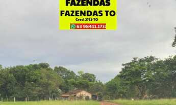 Imagem 4: Fazenda beira da BR 13 região Central do Tocantins ....