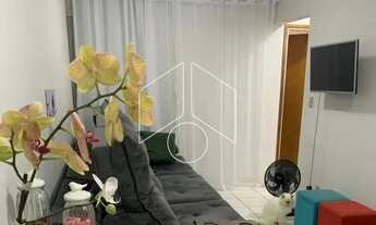 Imagem: Apartamento - Jardim Universitário Hospital