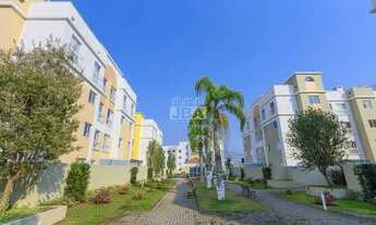 Imagem 2: CURITIBA - Padrão - Capão Raso