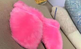 Imagem 4: Oportunidade Única - Fábrica de Chinelos Inverno e Verão