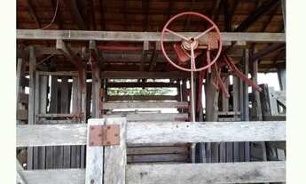 Imagem 2: Fazenda para Venda em Centro Inocência-MS - 3135