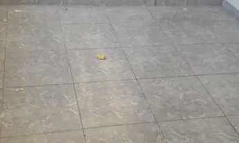 Imagem: Aluga-se casa